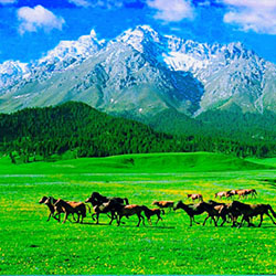 Travel to Urumqi