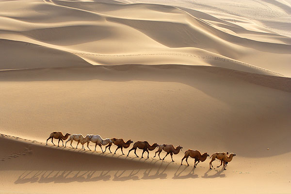 1 Day Turpan Tour to Kumtagh Mountain