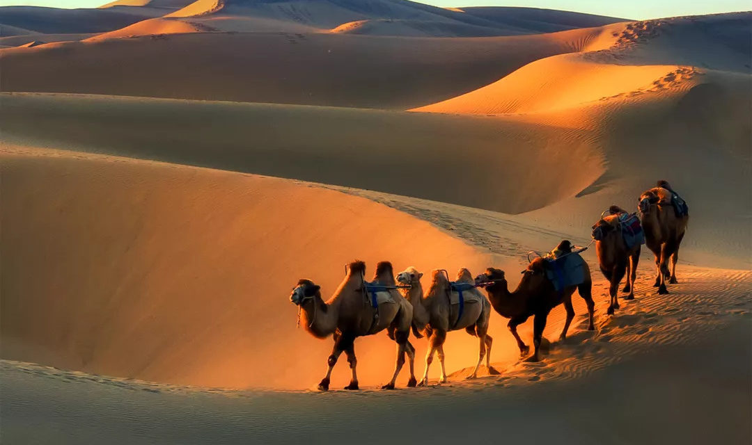 1  Day Kashgar Tour to Taklamakan Desert