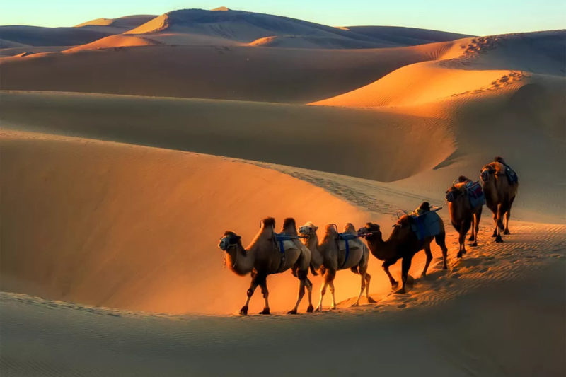 1  Day Kashgar Tour to Taklamakan Desert