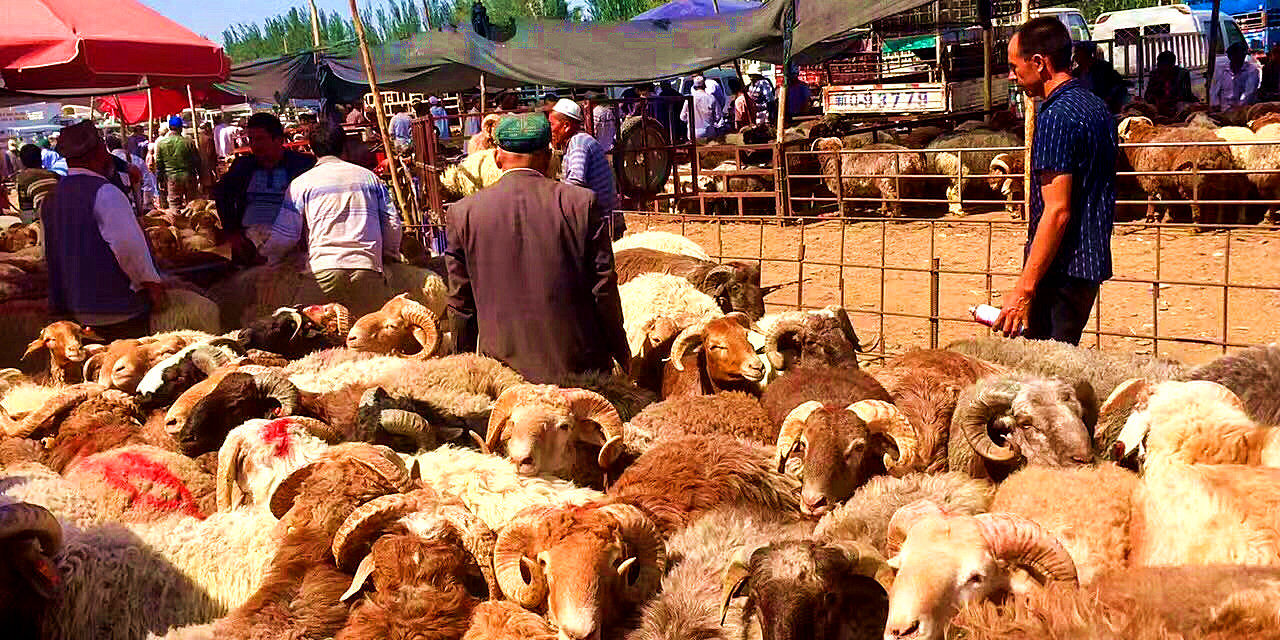 16 Days China Silk Road Tour from Xi’an to Kashgar