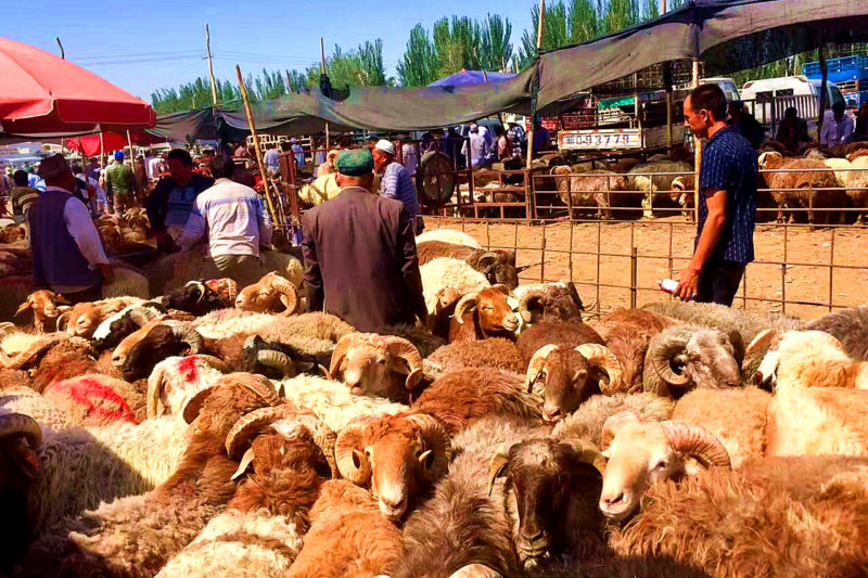 16 Days China Silk Road Tour from Xi'an to Kashgar