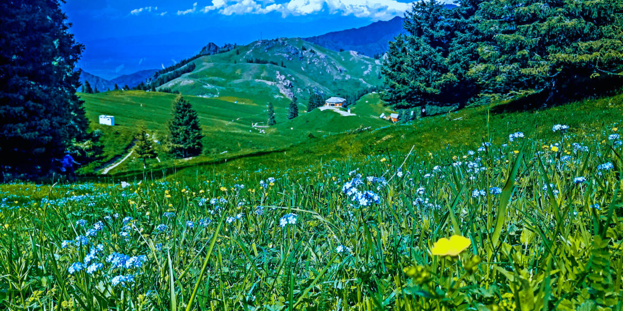 1 Day Urumqi Tour to Nanshan(south mountain)