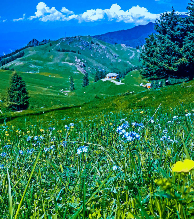 1 Day Urumqi Tour to Nanshan(south mountain)