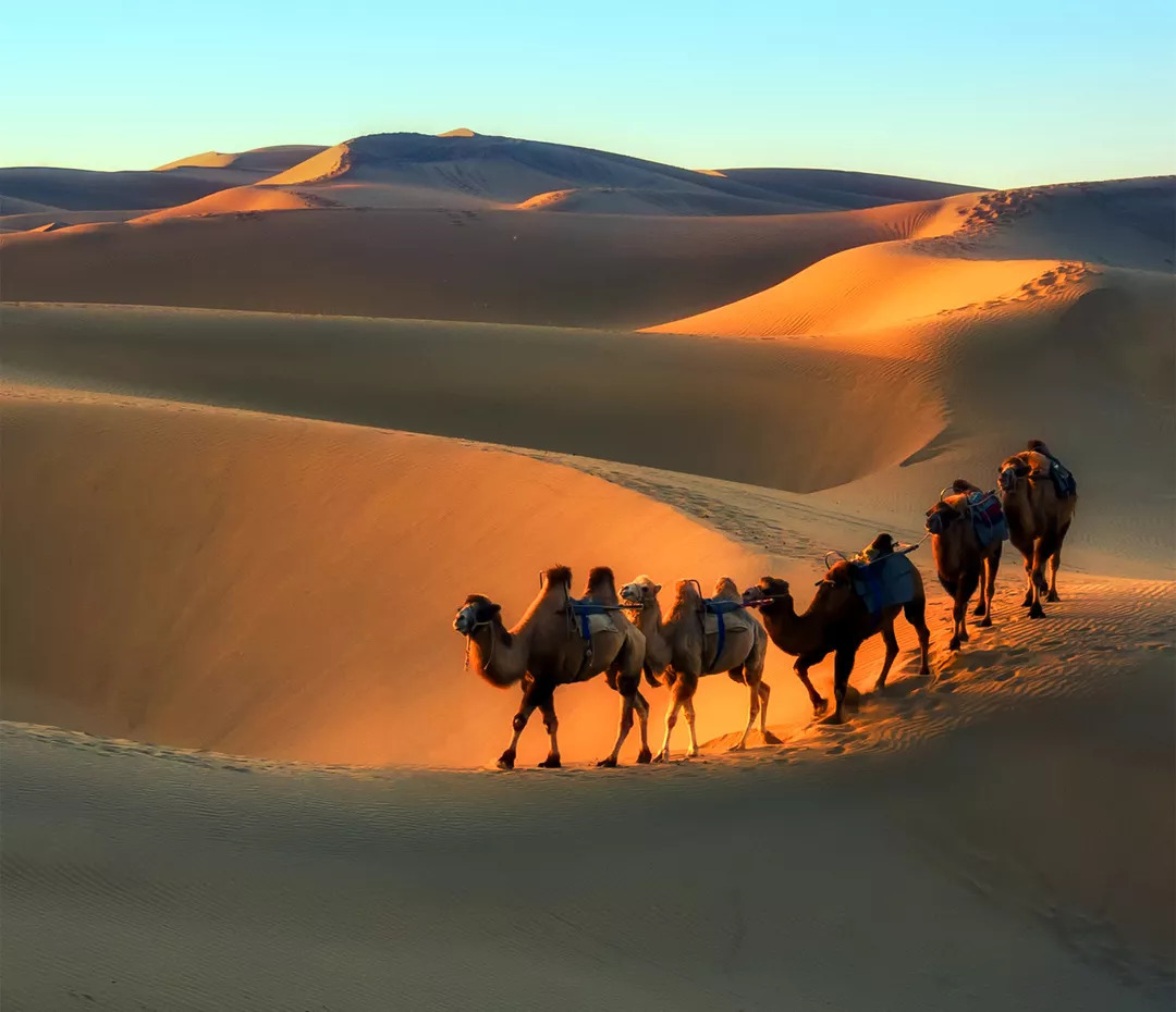 Xinjiang Silk Road Tour