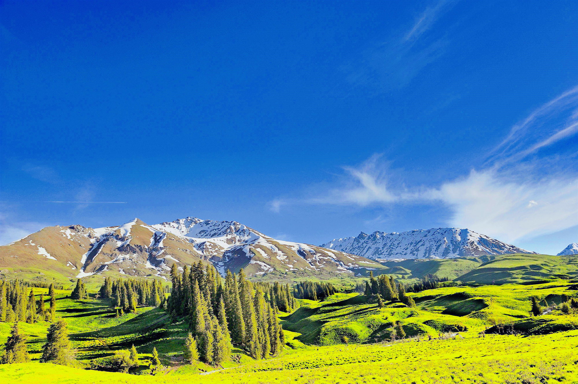 One day Urumqi tour to Nanshan(south mountain)