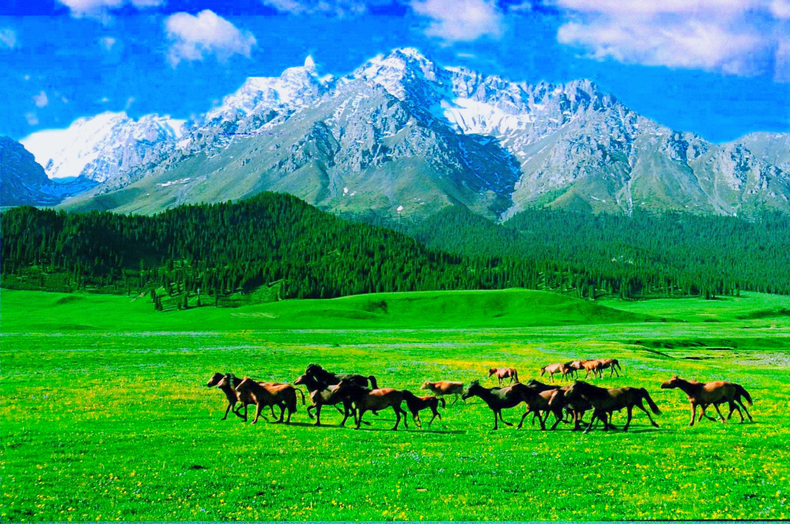 urumqi Nanshan